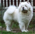 091103-cuttie.jpg