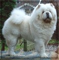 091103-cuttie2.jpg