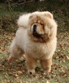 Buddhson 101013.jpg