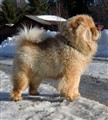Buddhson Mars 20111_redigerad-1.jpg