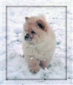 Bumbi Jan -10.jpg