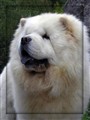 Cutti20.jpg