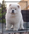 Cutti7.jpg