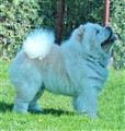 Cuttie 21 Maj 2011.jpg