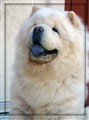 Cuttie EEE.jpg