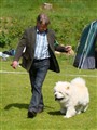 Cuttie o Claes KM 2011(A).jpg