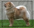 Dina6b.jpg