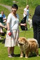 Geisha på CCR's KM år 20118A).jpg