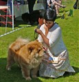 Geisha på KM i Vänersborg 2011(A).jpg