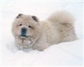 Iza Dec 2010_redigerad-1.jpg