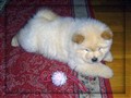 Iza Jan 2010.jpg