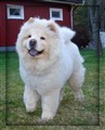 Lei Lei Maj Månad 2010.jpg