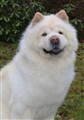 Lei Lei i November 2011.jpg