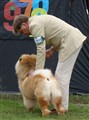 Lions svans fixas till i sista stund.jpg