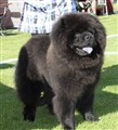 Loffe i Askersund 2011 A.jpg