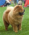 Ronja Köping Juli 2011A.jpg