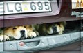 Tittut från bilen kopiera.jpg