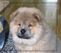 Wilma 3  Jnuari -10.jpg