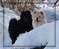Yo Lin och Iza i Mars 2010 kopiera.jpg