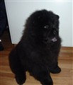 Zelda Julen år 2012.jpg