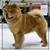 timon100418.jpg